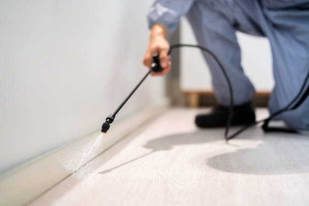 Licensed Pest Control service in Rush City, MN - Nex Pest Control