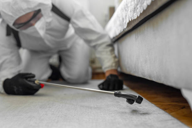 Professional Pest Control technician working in Rush City, MN