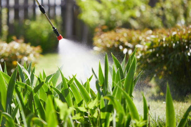 24/7 Emergency Rodent Control experts in Rush City, MN
