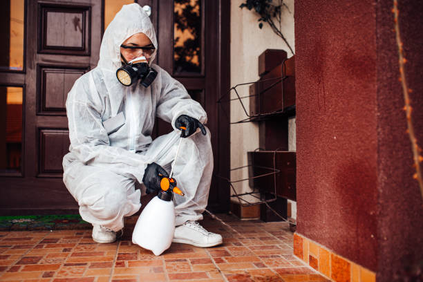 Reliable Rodent Control contractor in Rush City, MN by Nex Pest Control